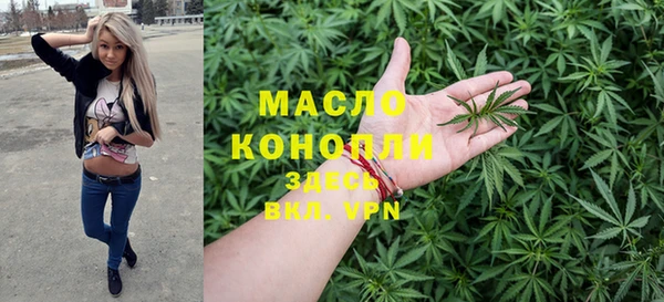 тгк Михайлов