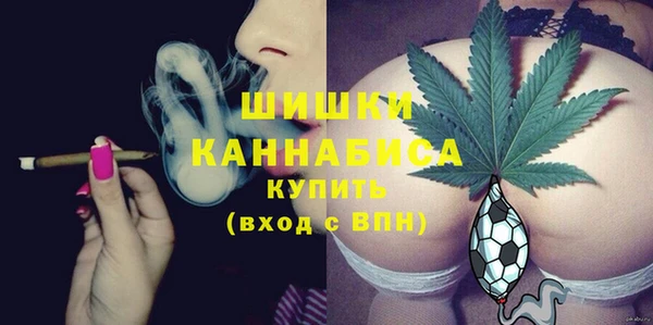 альфа пвп Медвежьегорск