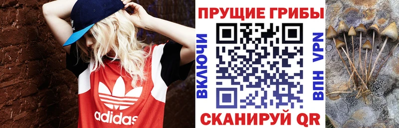 наркота  Ухта  Псилоцибиновые грибы MAGIC MUSHROOMS 