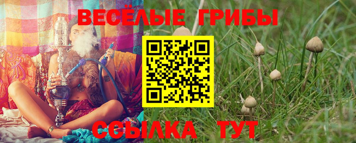 Галлюциногенные грибы прущие грибы Ухта